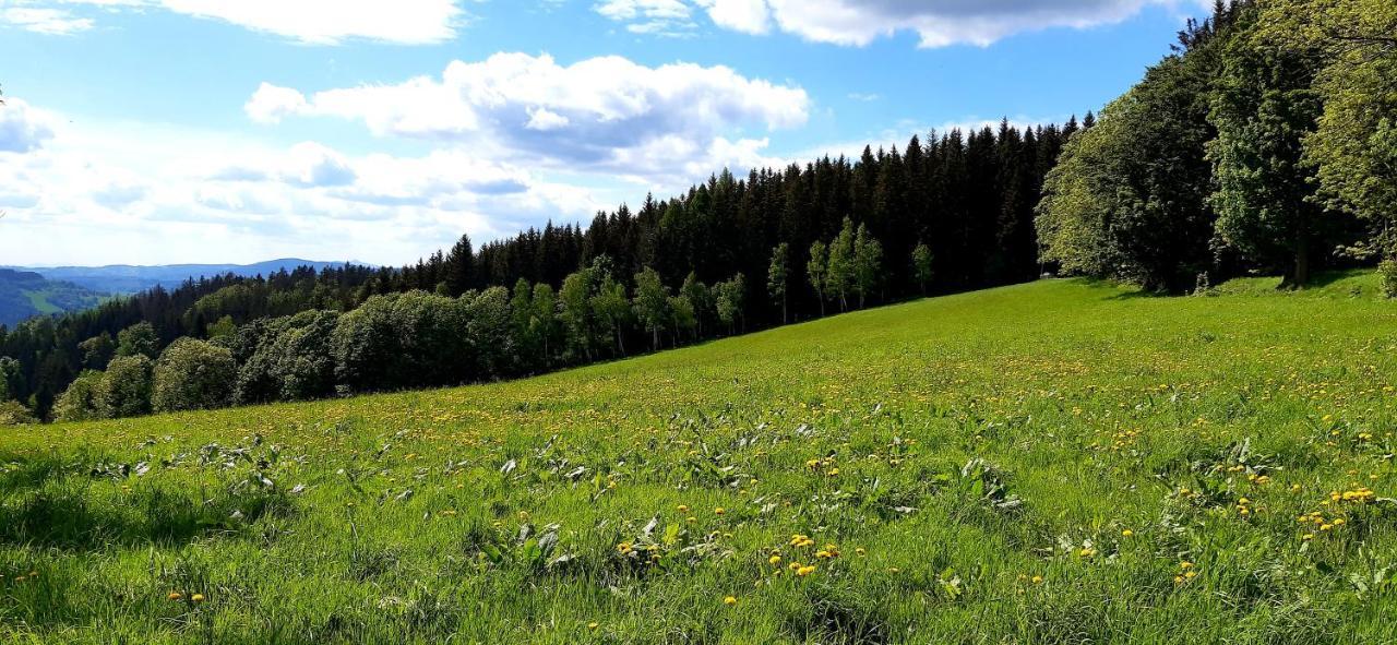 Apartman Hygge Bratrouchov Jablonec nad Jizerou Kültér fotó